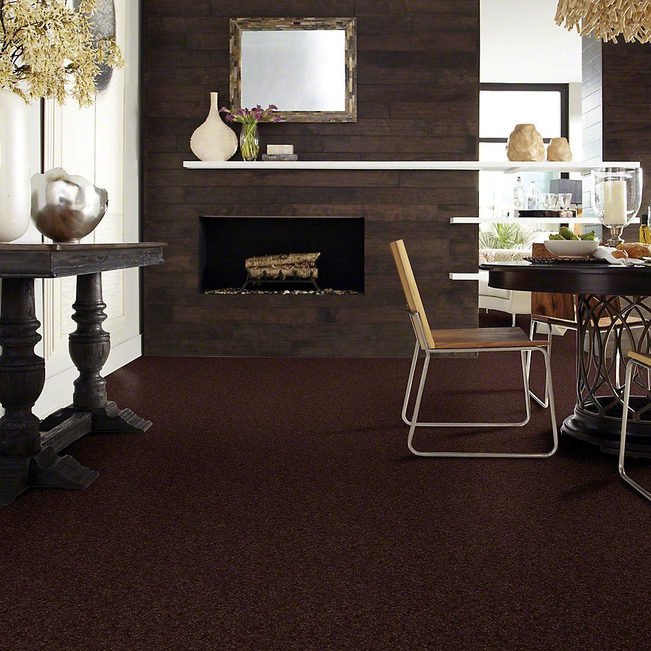 Shaw Floors Shaw Flooring Gallery Premier Role Truffle 00755_5571G