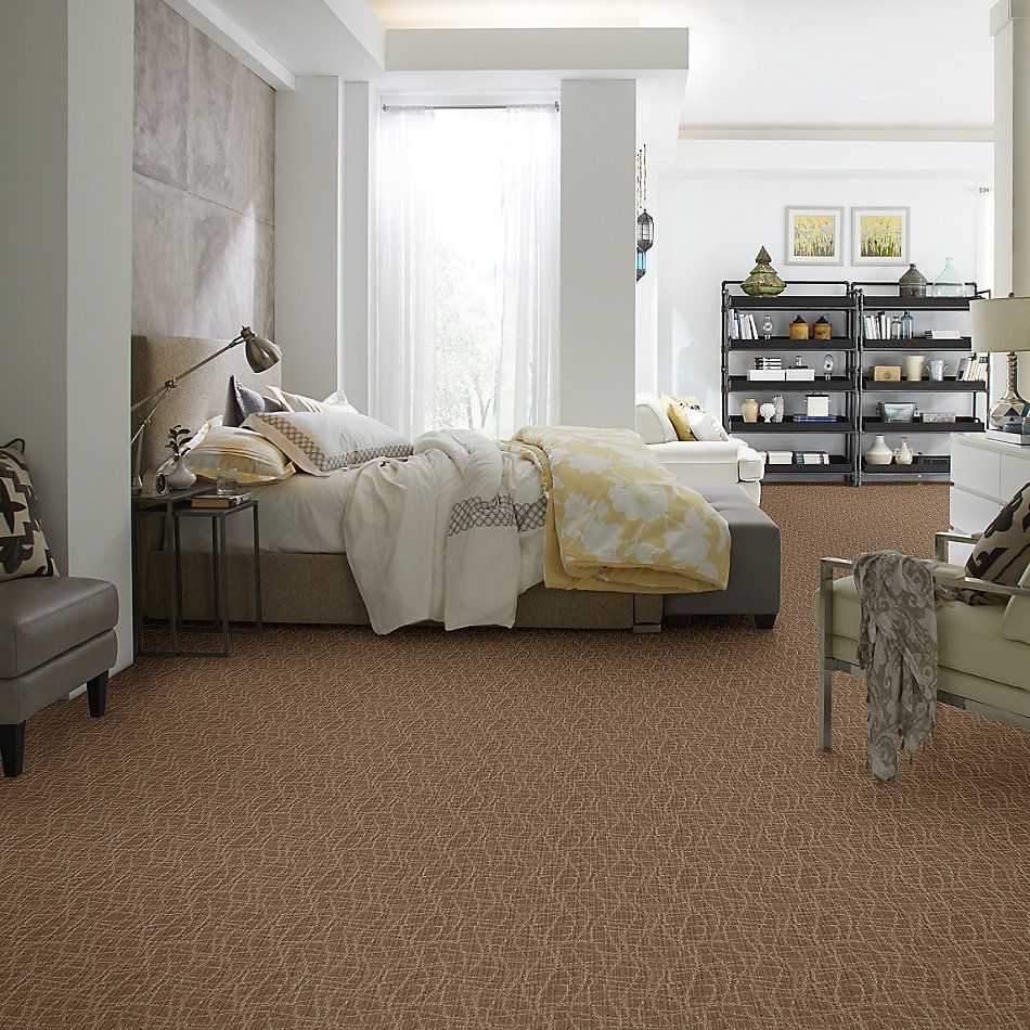 Anderson Tuftex American Home Fashions So Rare Mocha Blast 00756_ZA869