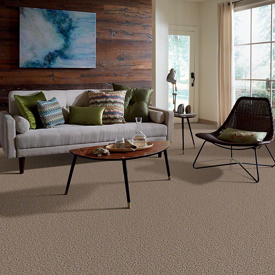 Shaw Floors Guess Work (b) Barnwood 52U00_00757
