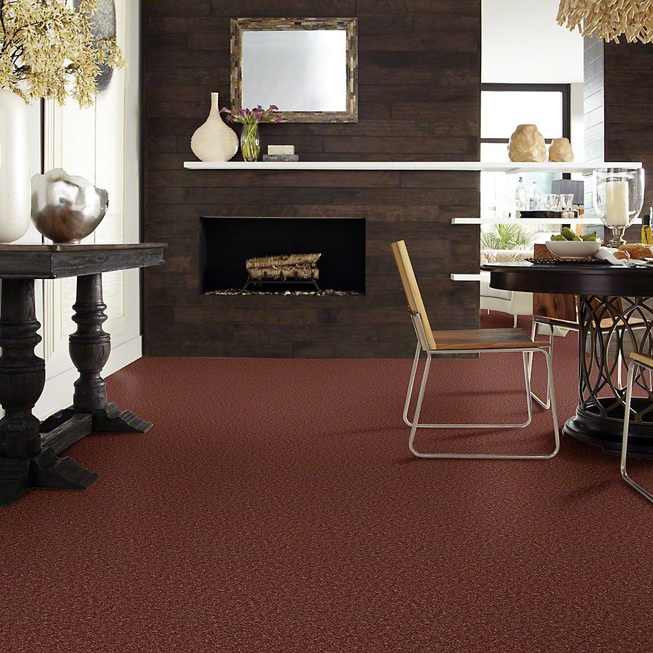 Shaw Floors This Is It Plus Dried Clay 00757_52N08