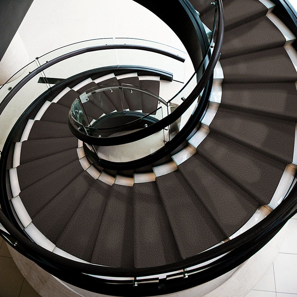 Shaw Floors Inspired By III Chocolate 00758_5562G