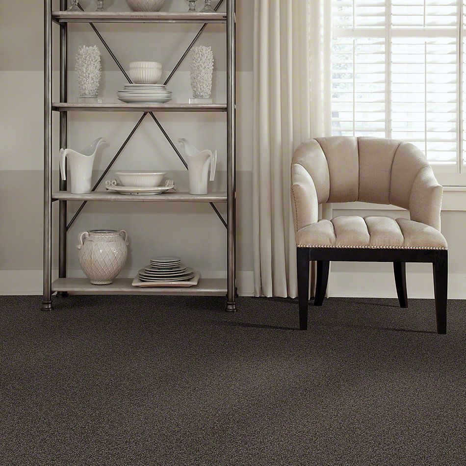 Shaw Floors Shaw Design Center My Destination II Chocolate 00758_5C776