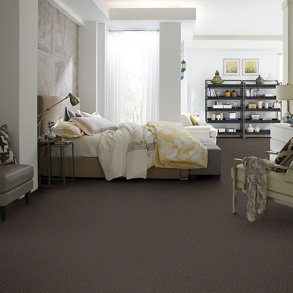 Shaw Floors Shaw Design Center My Destination III Chocolate 00758_5C777