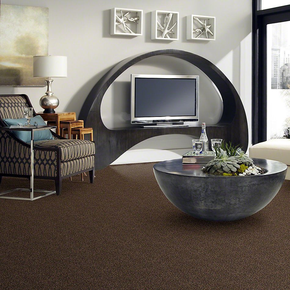 Anderson Tuftex Venecia II Barktone 00758_ZZ004