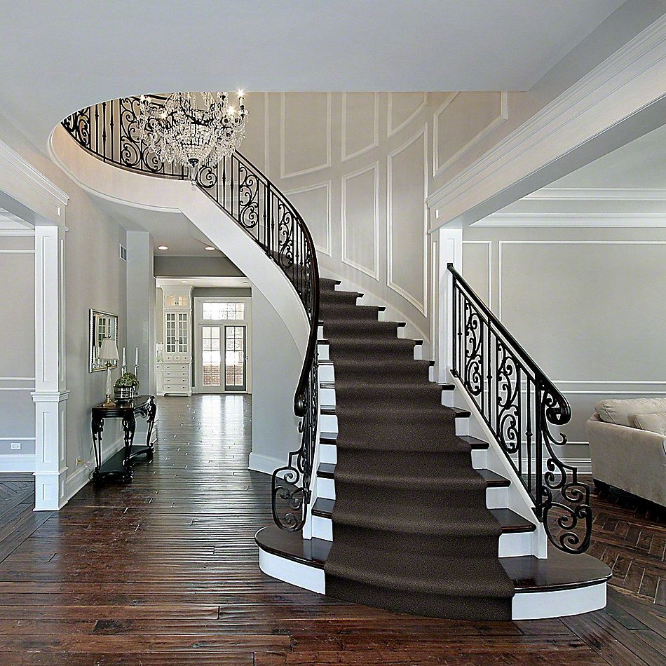 Shaw Floors My Choice III Chocolate 00758_E0652