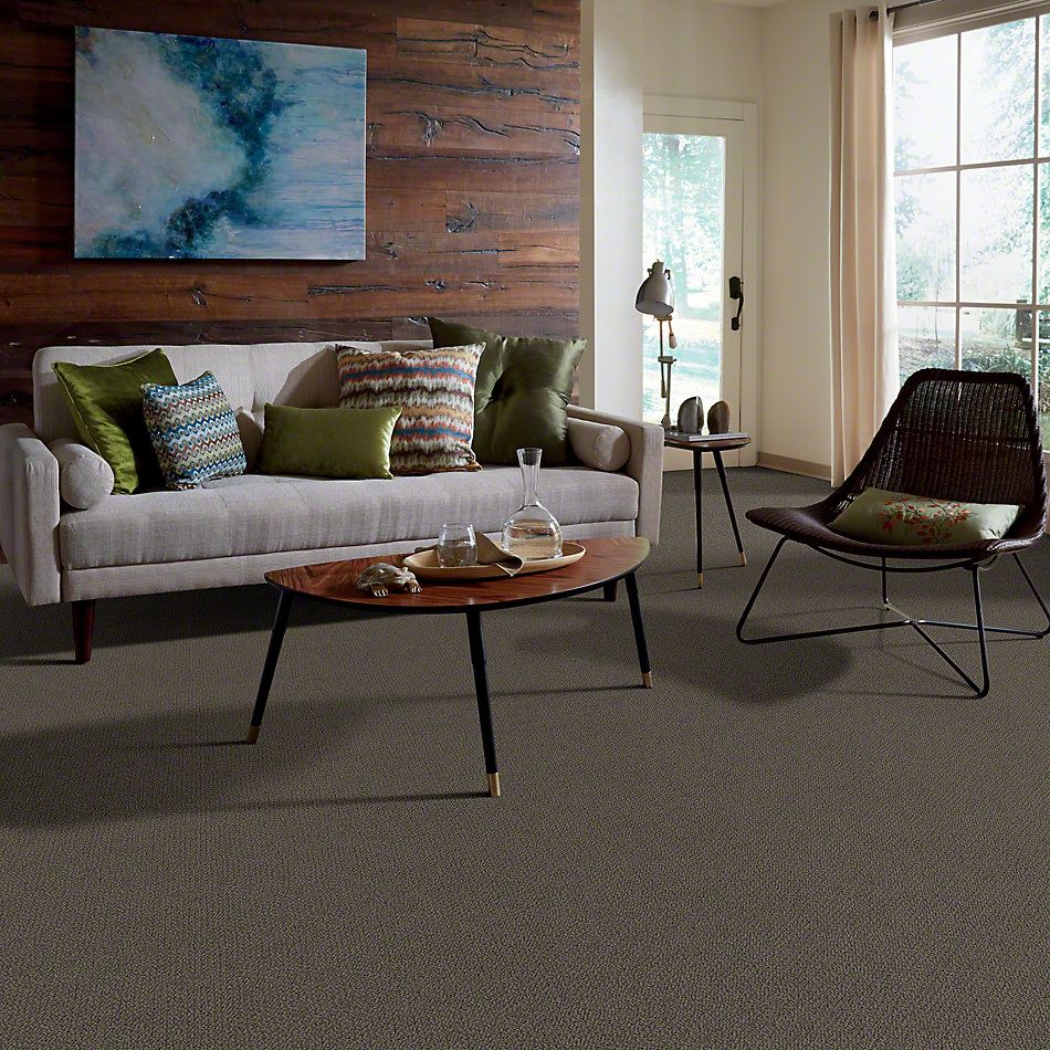 Shaw Floors Truly Relaxed Loop Chocolate 00758_E0657