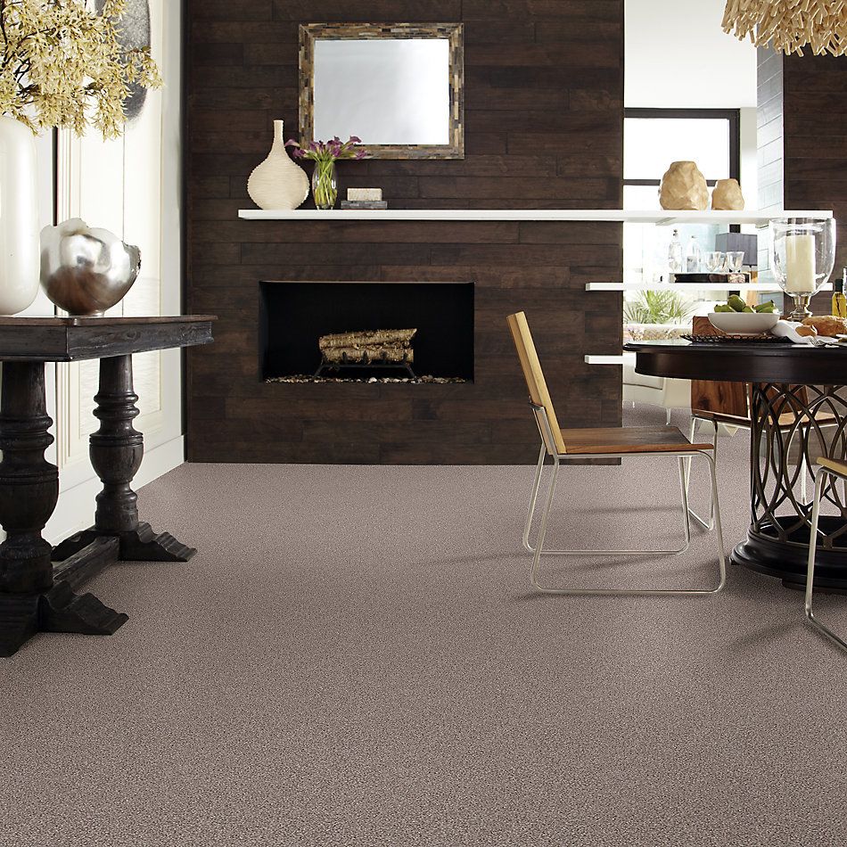 Shaw Floors Foundations Take The Floor Tonal II Net Tundra 00760_5E073