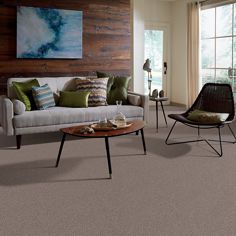 Shaw Floors Value Collections Take The Floor Tonal Blue Net Tundra 00760_5E074