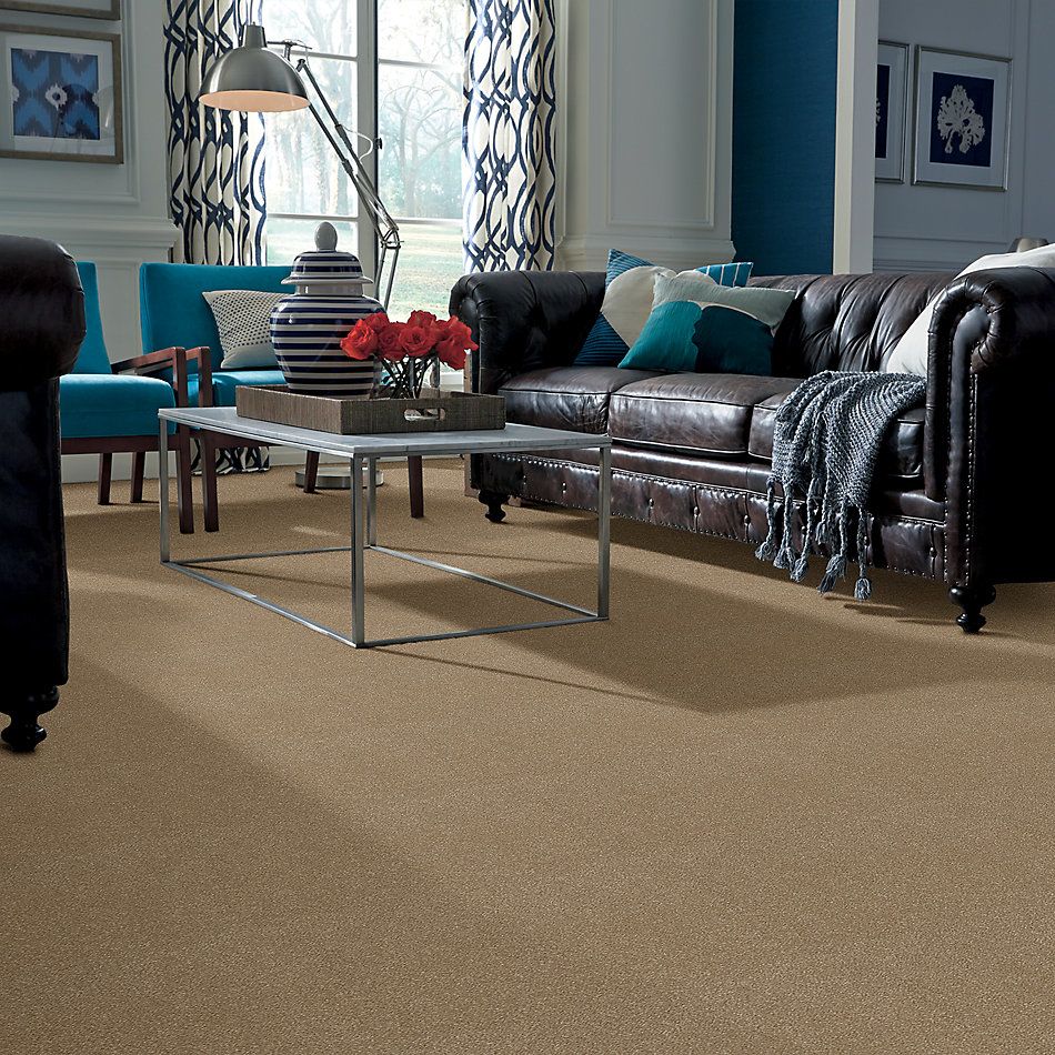 Shaw Floors Nfa Refinement Summer Suede 00760_NA151