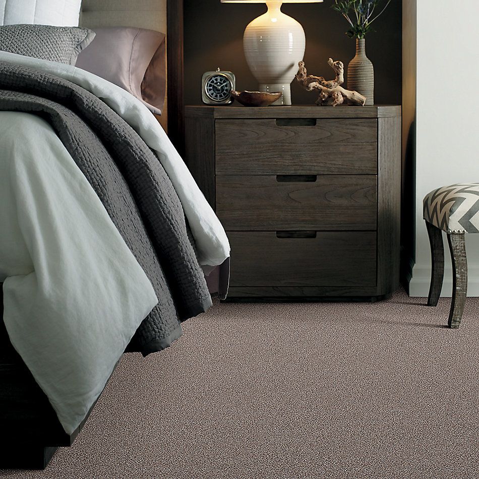 Shaw Floors Nfa/Apg Take the Floor Tonal I Tundra 5.00E+08_00760