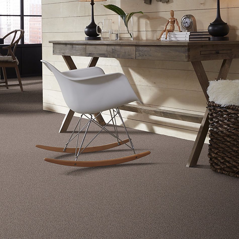 Shaw Floors Nfa/Apg Take the Floor Tonal I Tundra 5.00E+08_00760