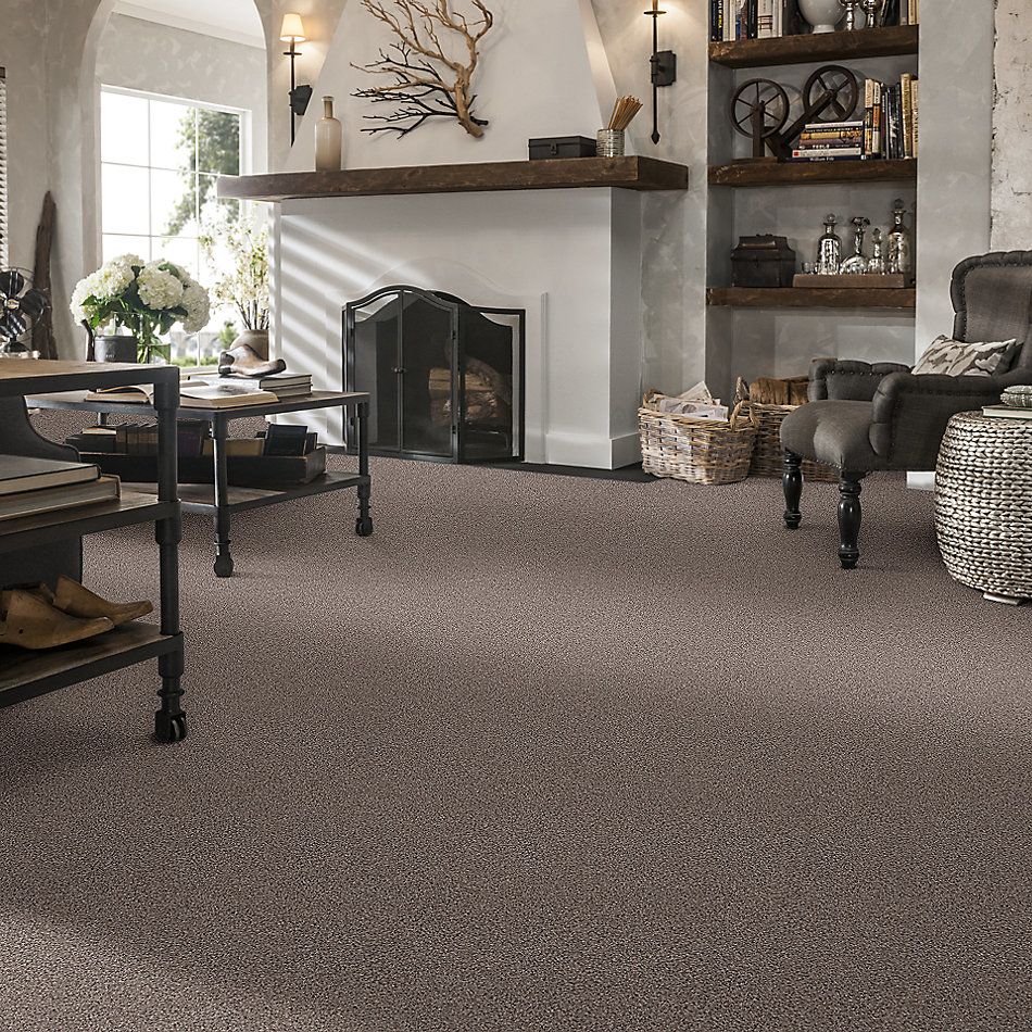 Shaw Floors Nfa/Apg Take the Floor Tonal II Tundra 5.00E+09_00760