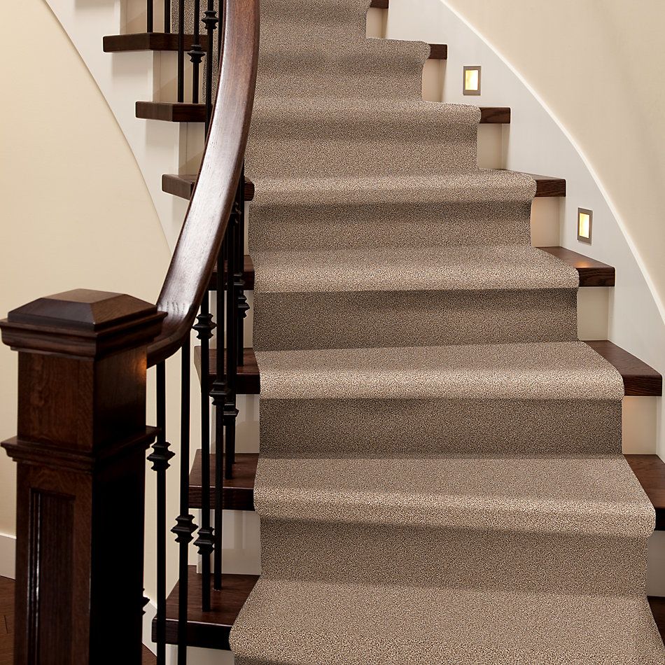Shaw Floors Foundations Take The Floor Tonal I Net Sienna 00761_5E072