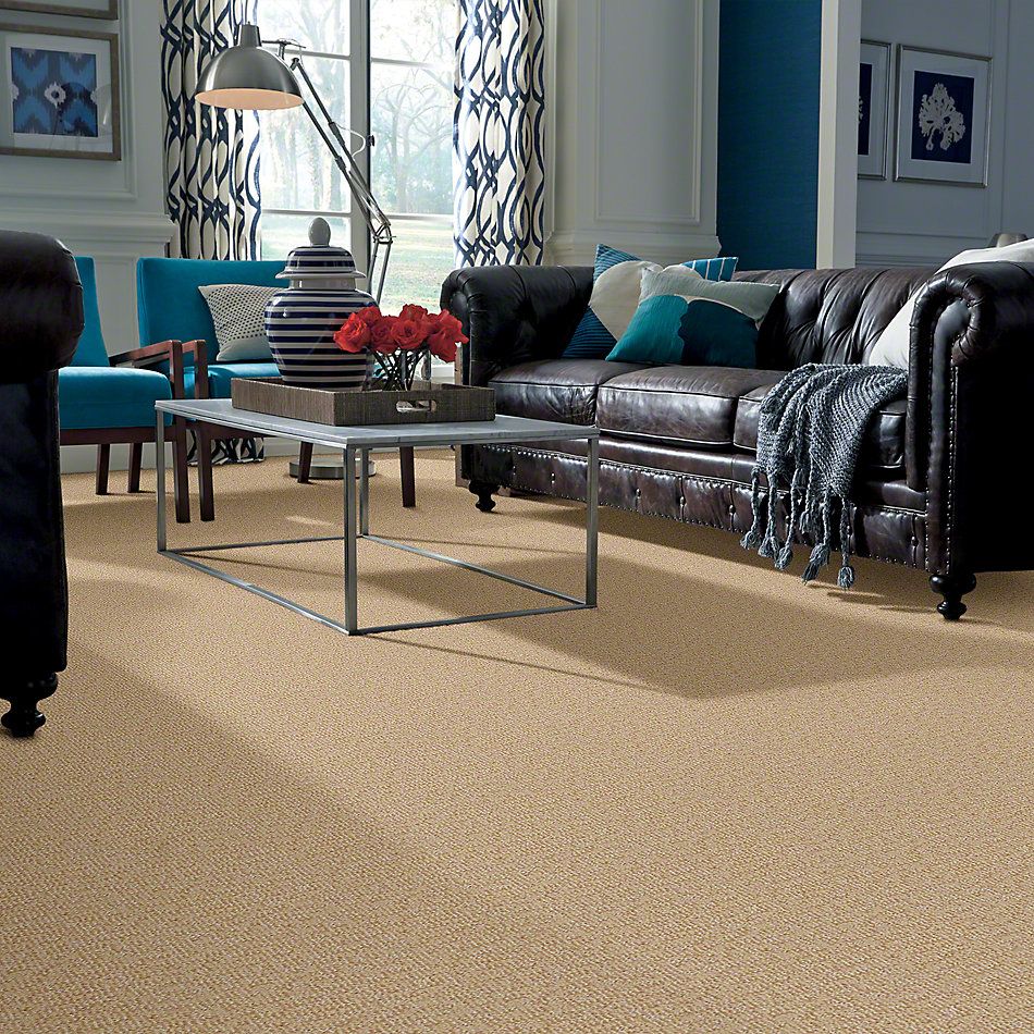 Anderson Tuftex Alante Iverson Coffee Cream 831AG_00761