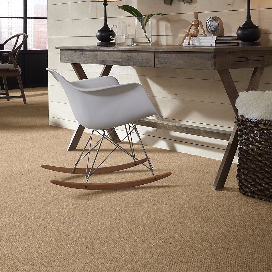 Anderson Tuftex Avio Demetria Coffee Cream 833AG_00761