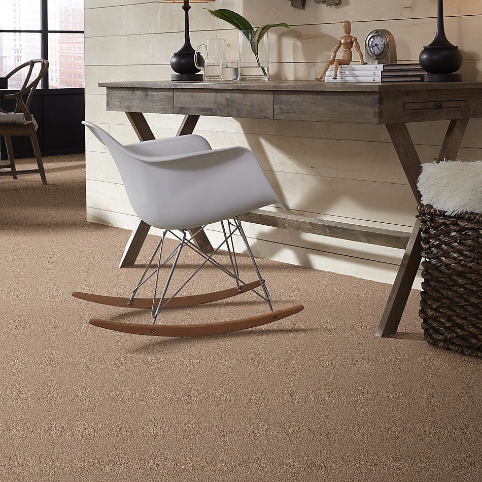 Shaw Floors Nfa/Apg Take the Floor Tonal I Sienna 5.00E+08_00761