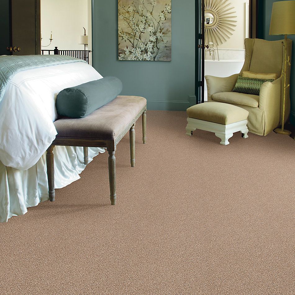 Shaw Floors Nfa/Apg Take the Floor Tonal II Sienna 5.00E+09_00761
