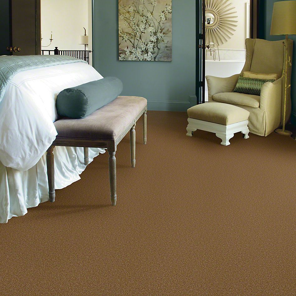Shaw Floors Foundations Luxuriant Sienna 00762_E9253