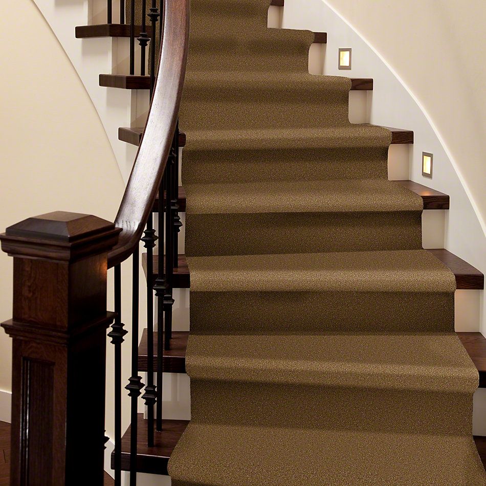 Shaw Floors Foundations Luxuriant Sienna 00762_E9253