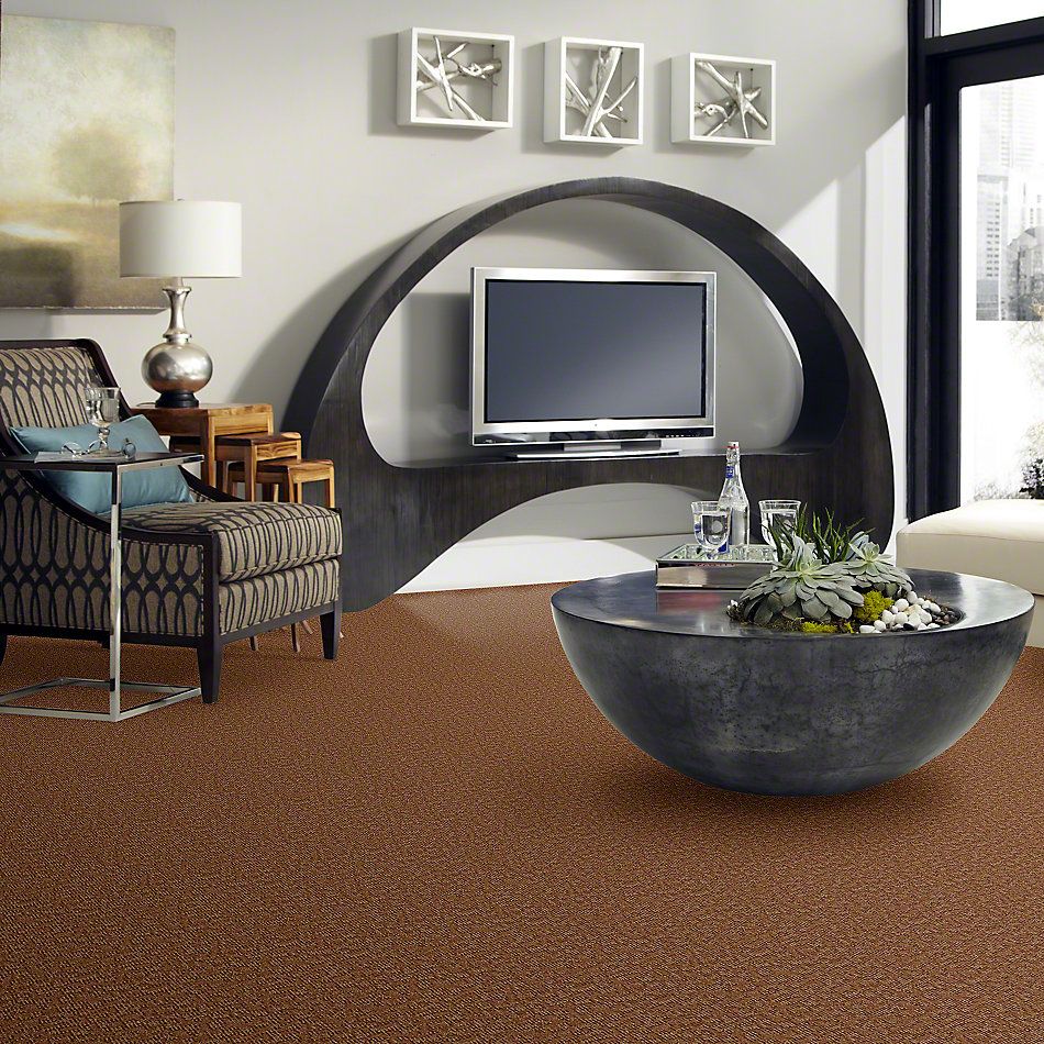 Anderson Tuftex Alante Iverson Burnt Almond 831AG_00765