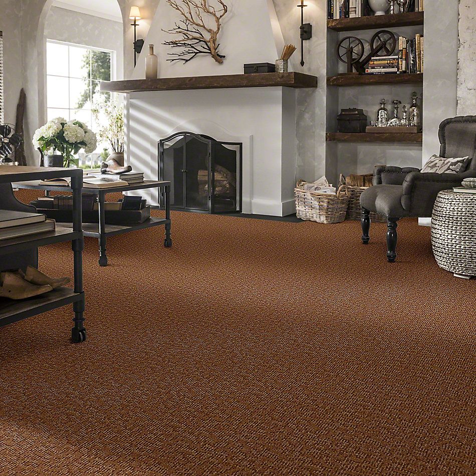 Anderson Tuftex Alante Iverson Burnt Almond 831AG_00765
