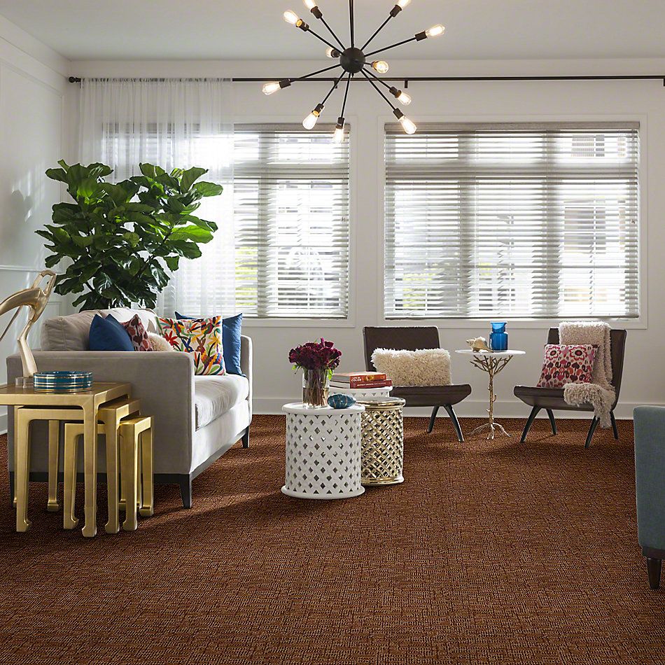 Anderson Tuftex Arietta Heringer Burnt Almond 832AG_00765