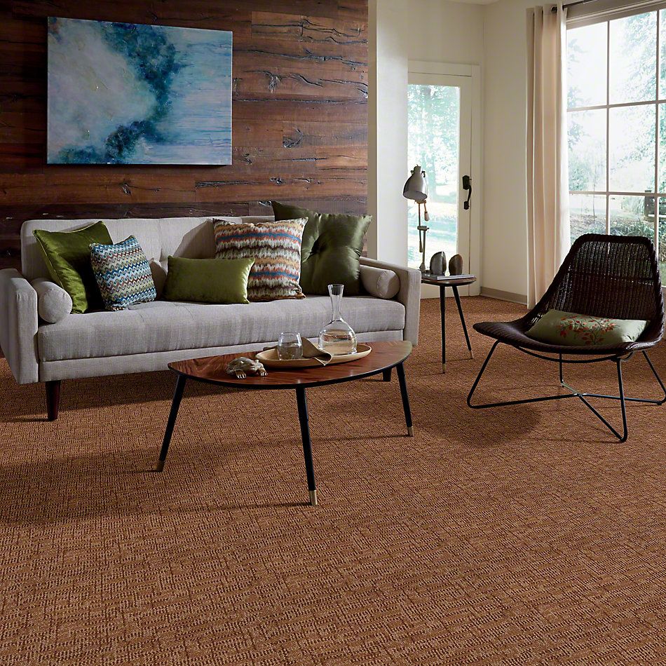 Anderson Tuftex Arietta Heringer Burnt Almond 832AG_00765