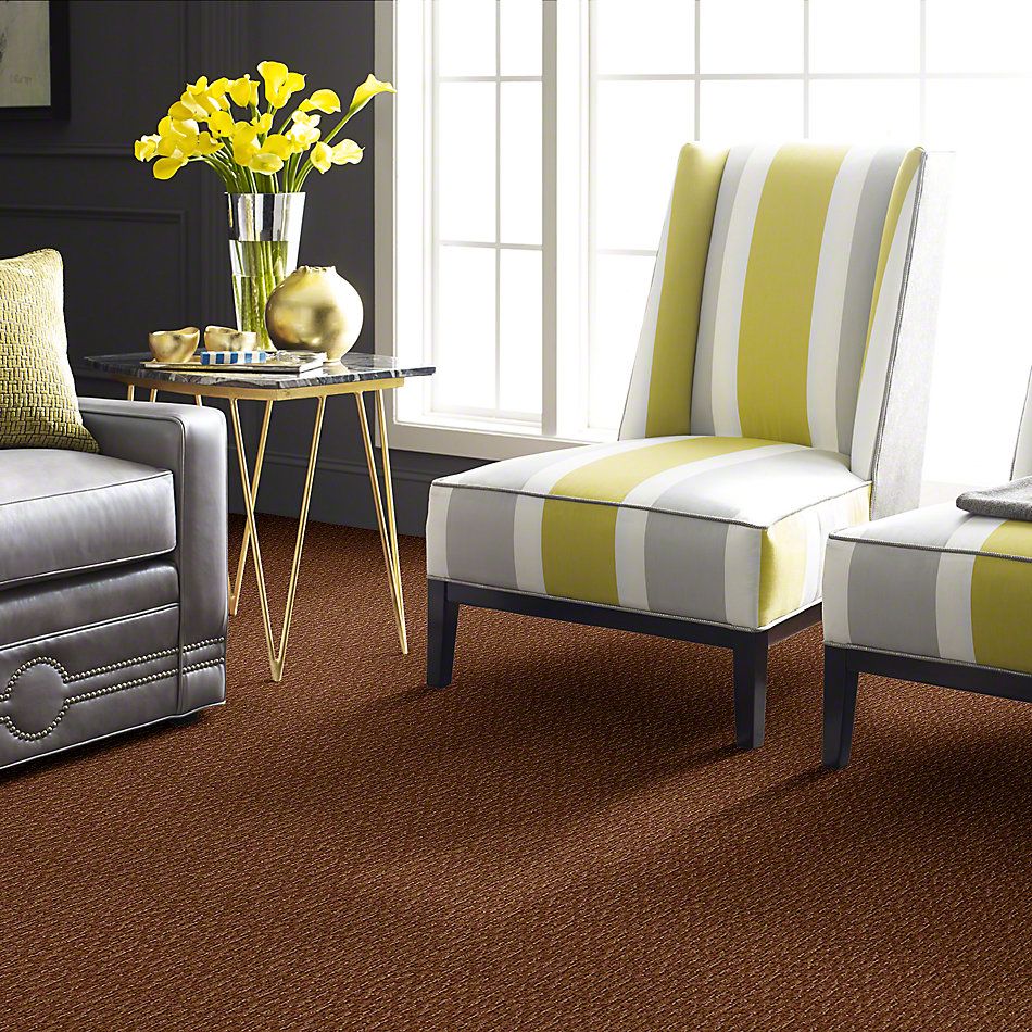 Anderson Tuftex Avio Demetria Burnt Almond 833AG_00765