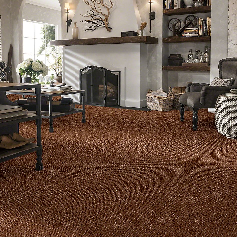 Anderson Tuftex Avio Demetria Burnt Almond 833AG_00765