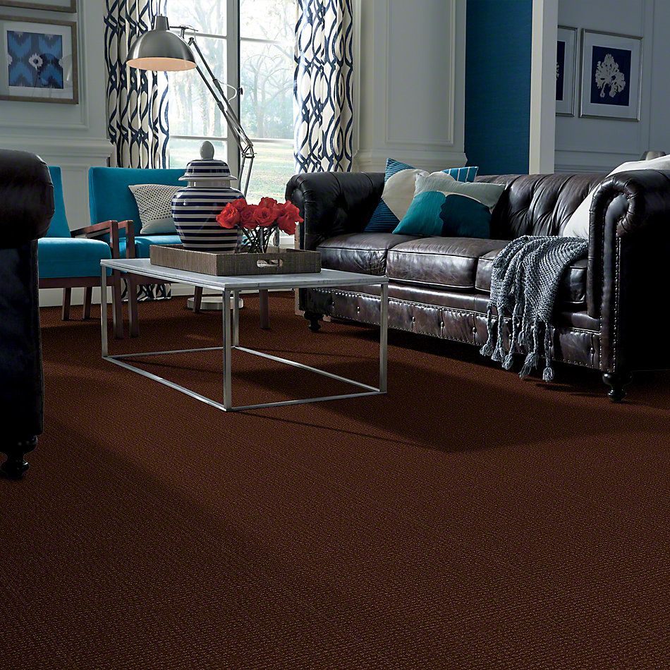 Anderson Tuftex Classics Vibe Nutmeg 00768_Z6863