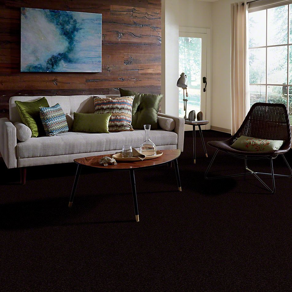 Shaw Floors Foundations Prestigious Deep Woods 00769_E9255
