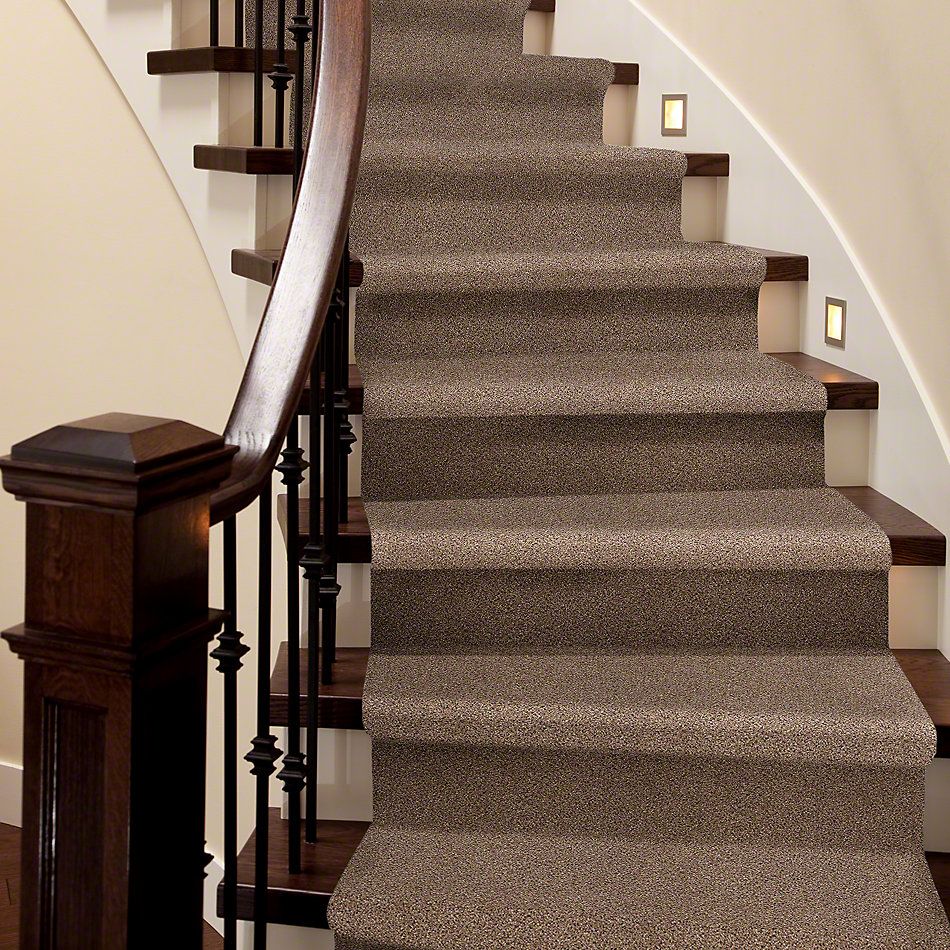 Shaw Floors Take The Floor Accent I Baltic Brown 00770_5E011