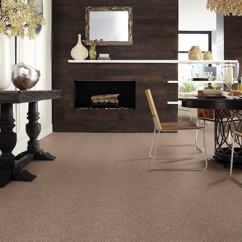 Shaw Floors Foundations Take The Floor Accent II Net Baltic Brown 00770_5E076