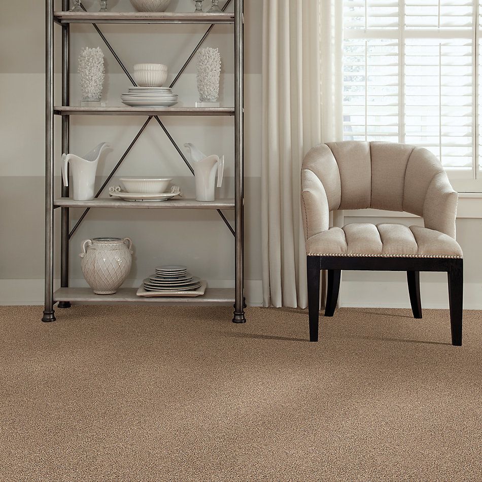Shaw Floors Nfa/Apg Get With It Arrowhead 00770_NA174