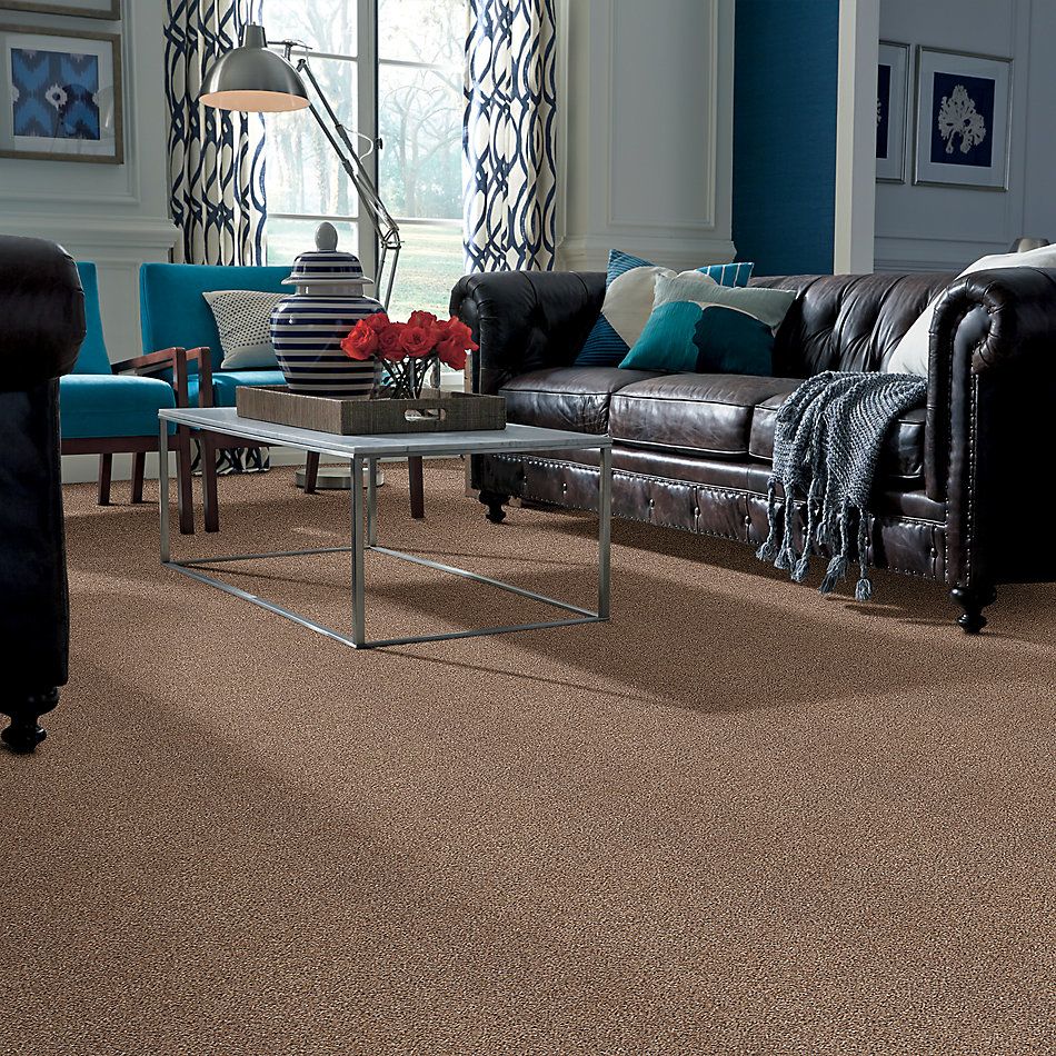 Shaw Floors Nfa/Apg Take the Floor Accent I Baltic Brown 5.00E+11_00770