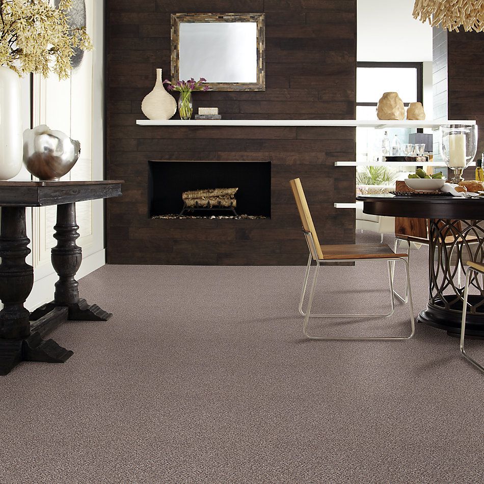 Shaw Floors Value Collections Take The Floor Accent I Net Storm 00771_5E075