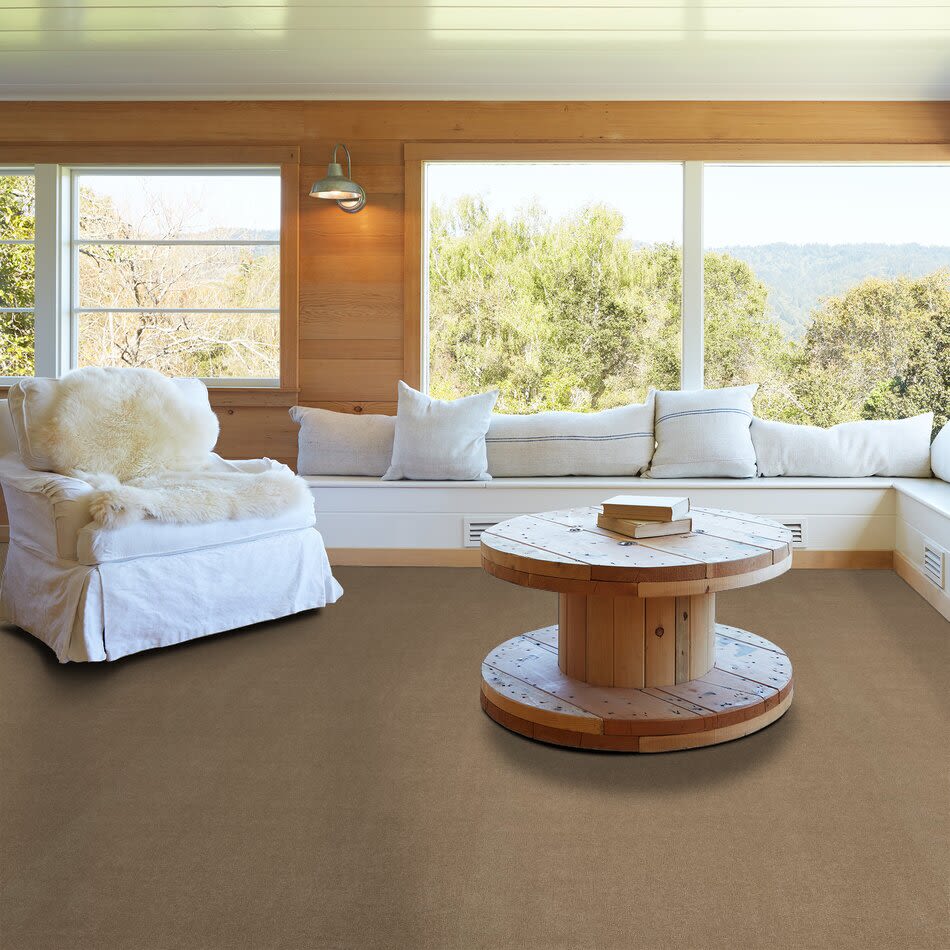 Shaw Floors Anso Design Gallery Copper Canyon 1 Cobblestone 00771 729a3 Carpet Carpetland Usa