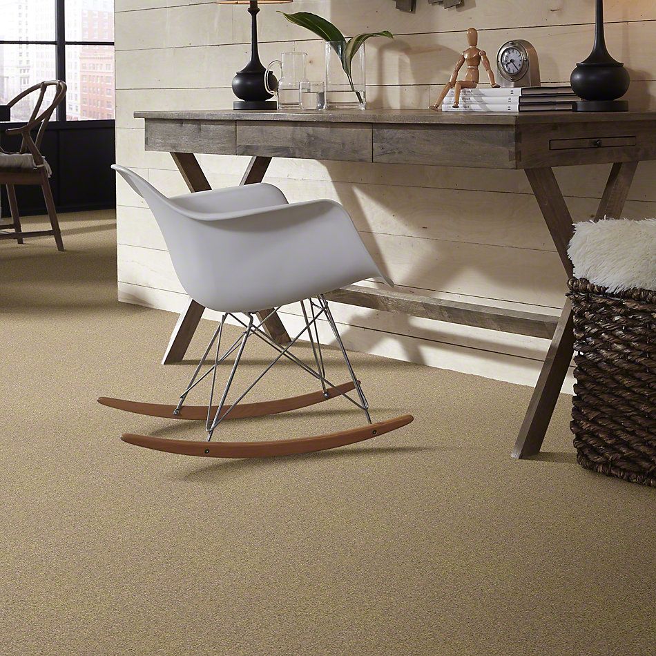 Shaw Floors Anso Colorwall Gold Texture Beach House 00771_EA571