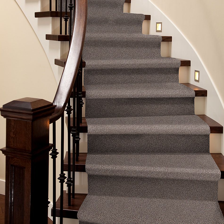 Shaw Floors Nfa/Apg Take the Floor Accent I Storm 5.00E+11_00771