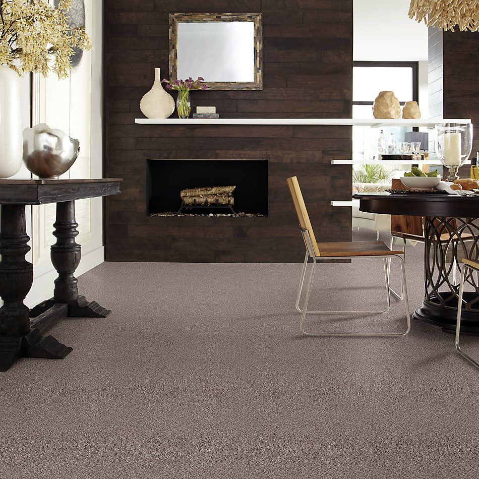 Shaw Floors Nfa/Apg Take the Floor Accent II Storm 5.00E+12_00771