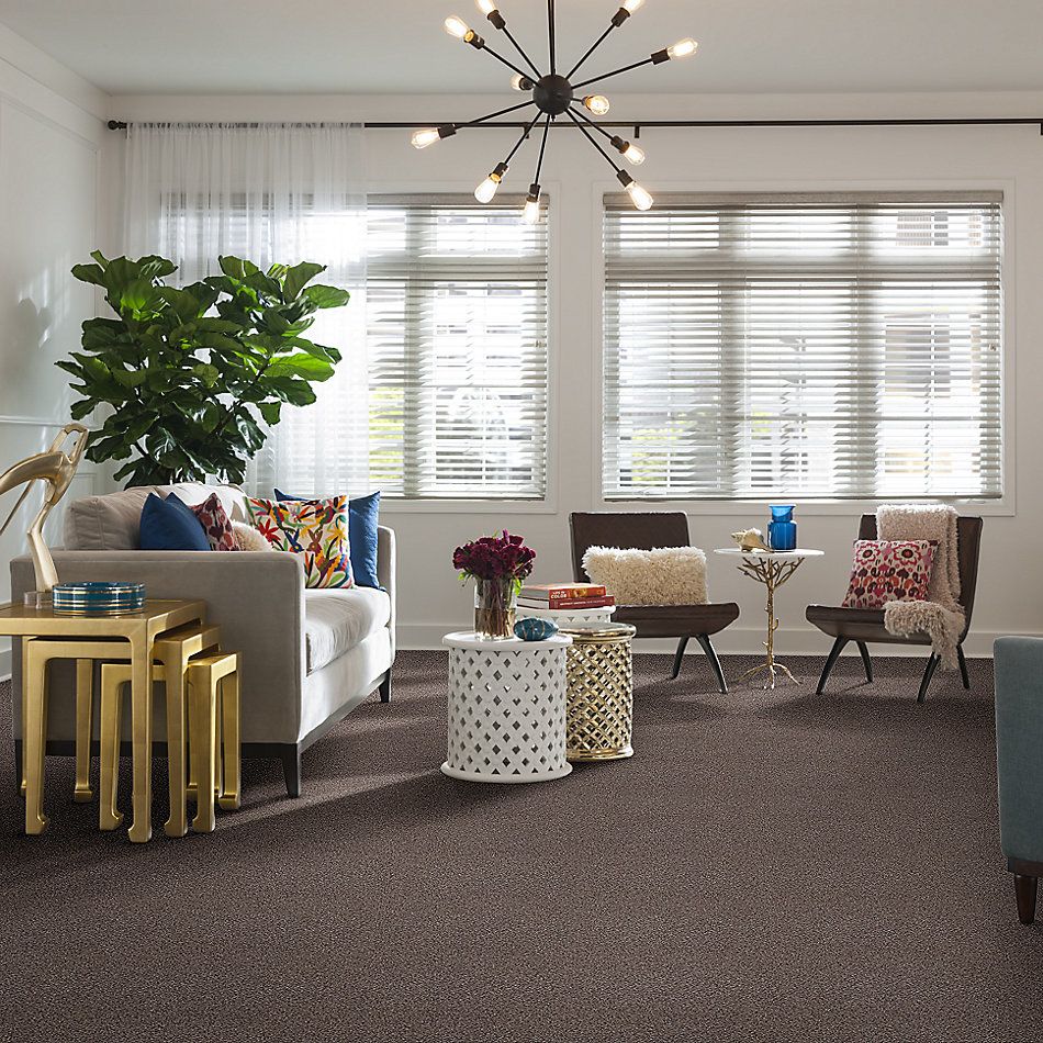Shaw Floors Nfa/Apg Take the Floor Accent II Storm 5.00E+12_00771