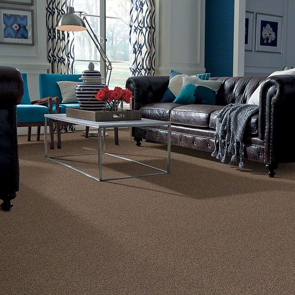 Anderson Tuftex SFA Chastanet II Burlap 19SSF_00773