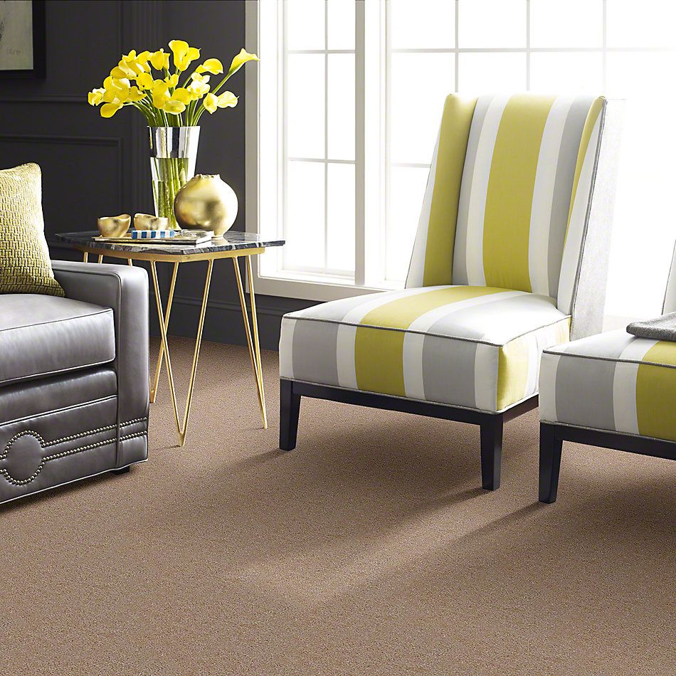 Shaw Floors Cascade II Fawn’s Leap 52350_00773