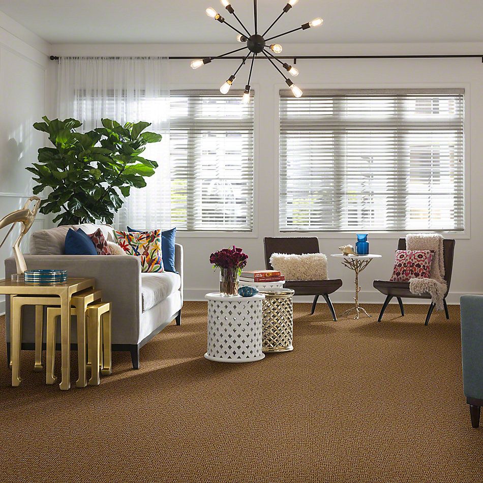 Anderson Tuftex Alante Iverson Rattan 831AG_00773