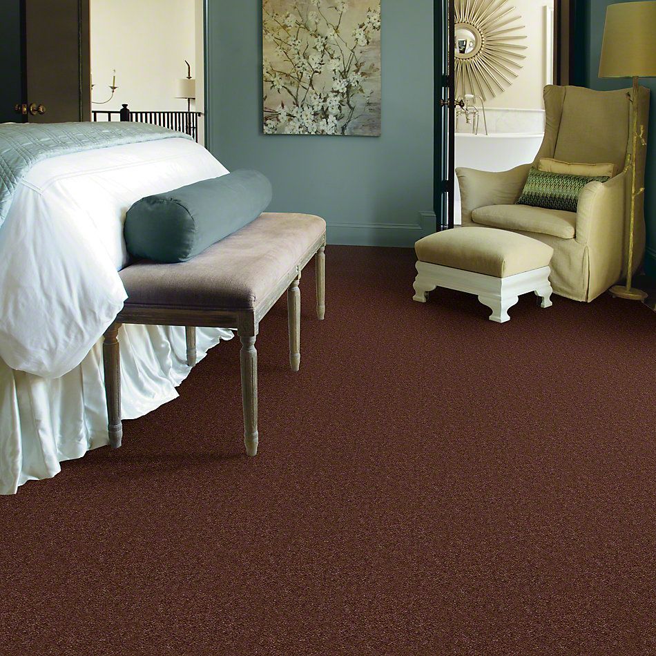 Shaw Floors Cascade II Leather Brown 52350_00774