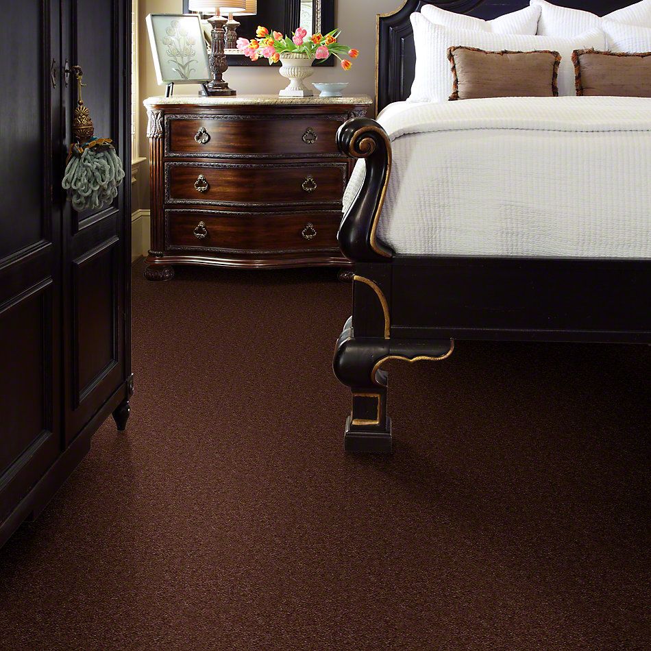 Shaw Floors Cascade II Leather Brown 52350_00774