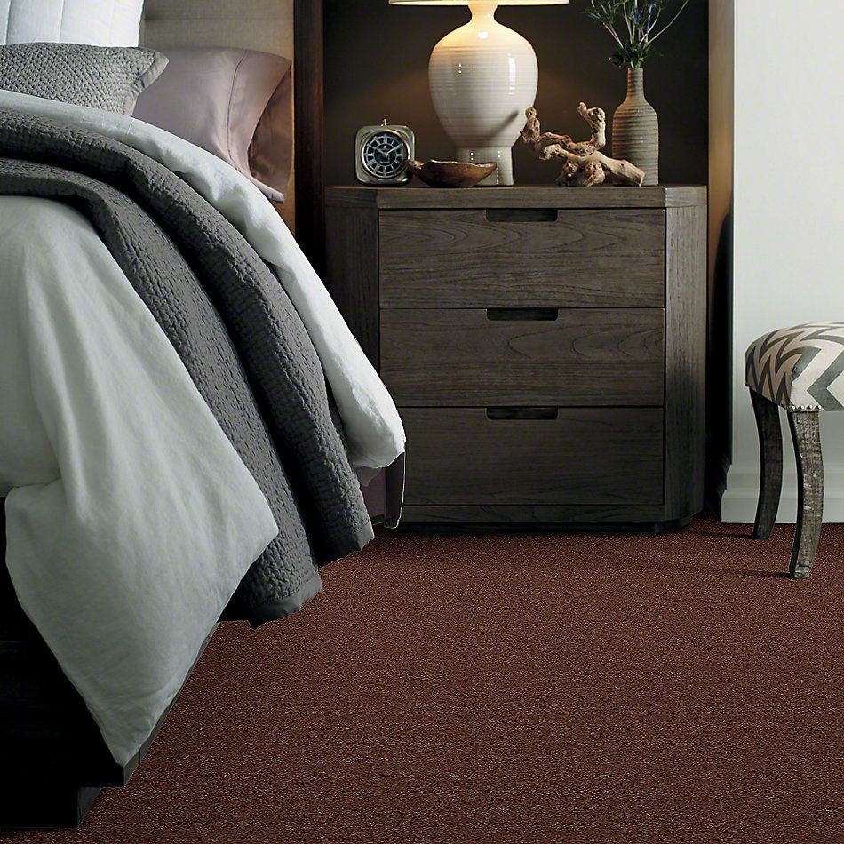 Shaw Floors Cascade II Leather Brown 52350_00774