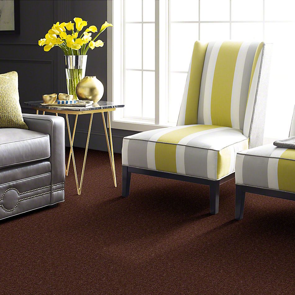 Shaw Floors Cascade II Leather Brown 52350_00774