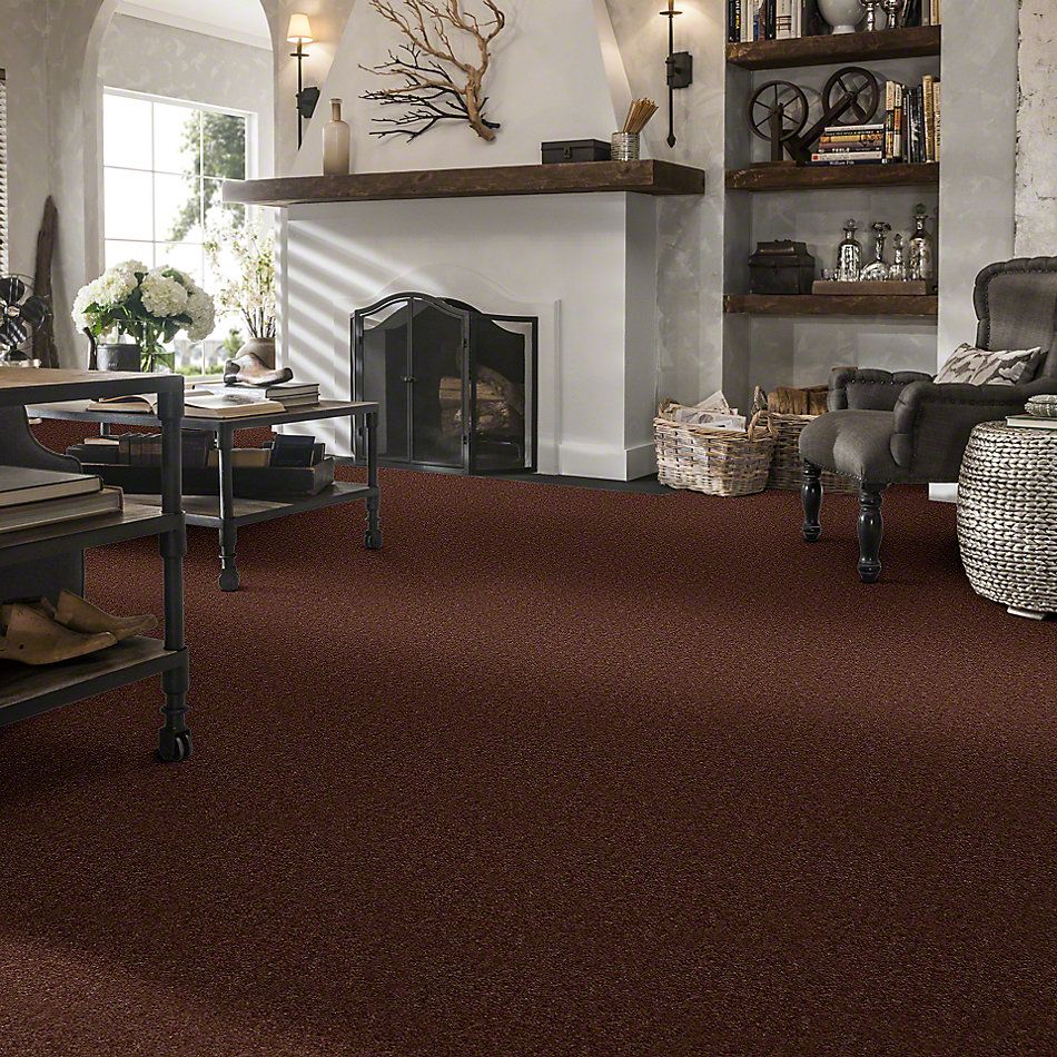 Shaw Floors Cascade II Leather Brown 52350_00774