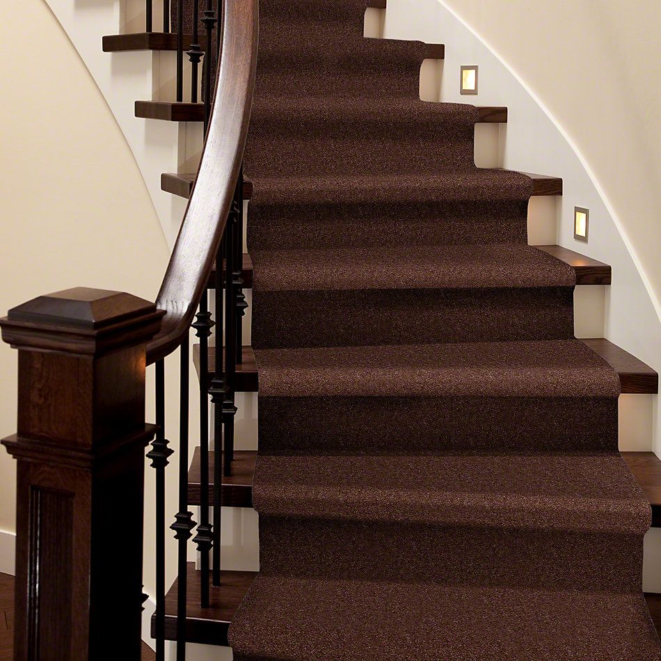 Shaw Floors Cascade II Leather Brown 52350_00774